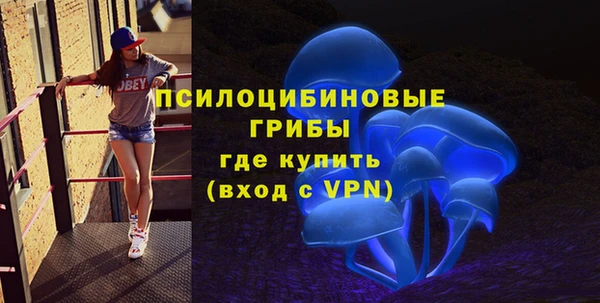 синтетический гашиш Гусев