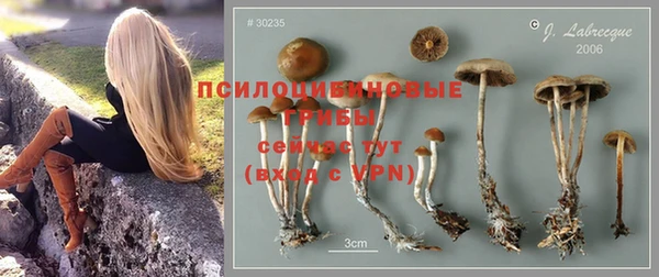 спиды Гусиноозёрск