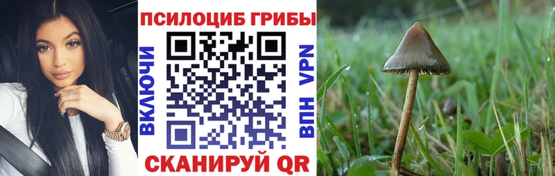 Галлюциногенные грибы прущие грибы  Купить закладки  Киселёвск 